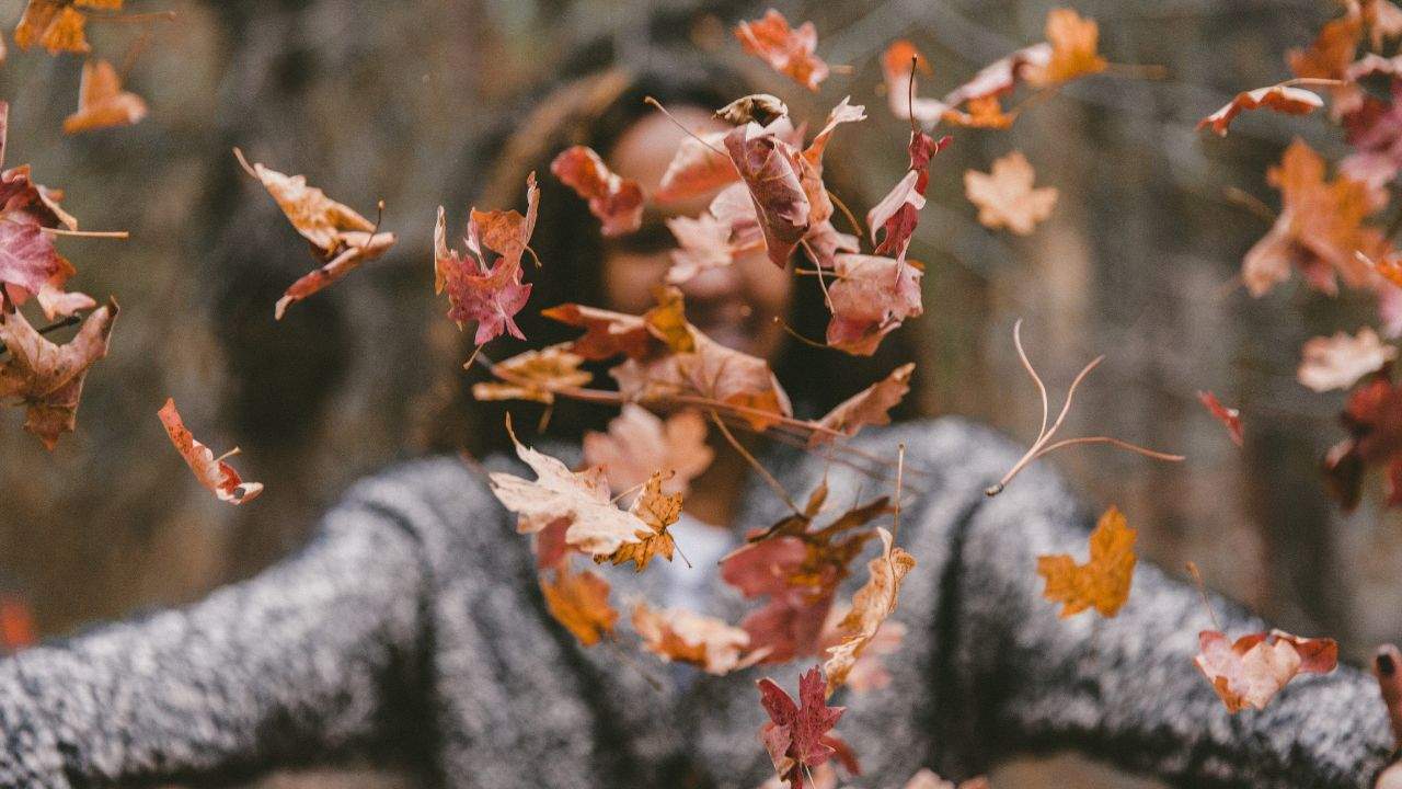 Cosa fare a Cracovia in autunno: la tua guida completa