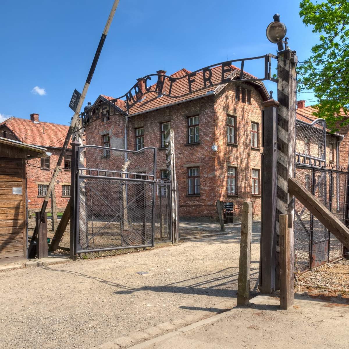 Auschwitz-Birkenau: Tour guidato da Cracovia