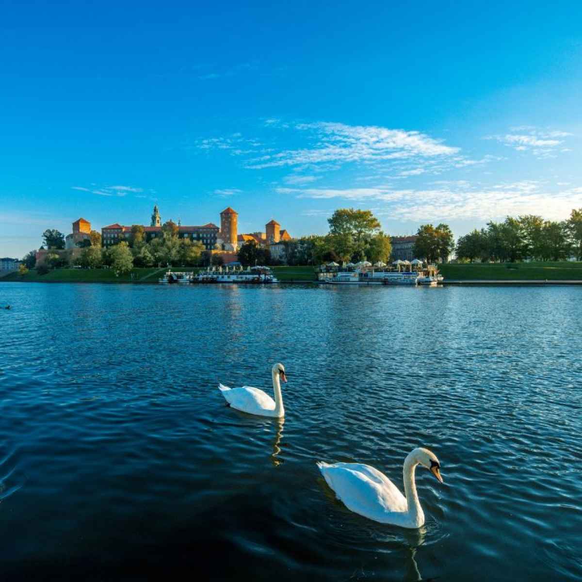 Crociera fluviale a Cracovia sul fiume Vistola