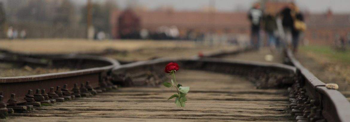 La rampa di Auschwitz-Birkenau: un luogo di memoria e monito